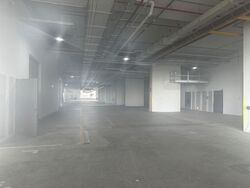Ct Foodnex (D25), Factory #600644381